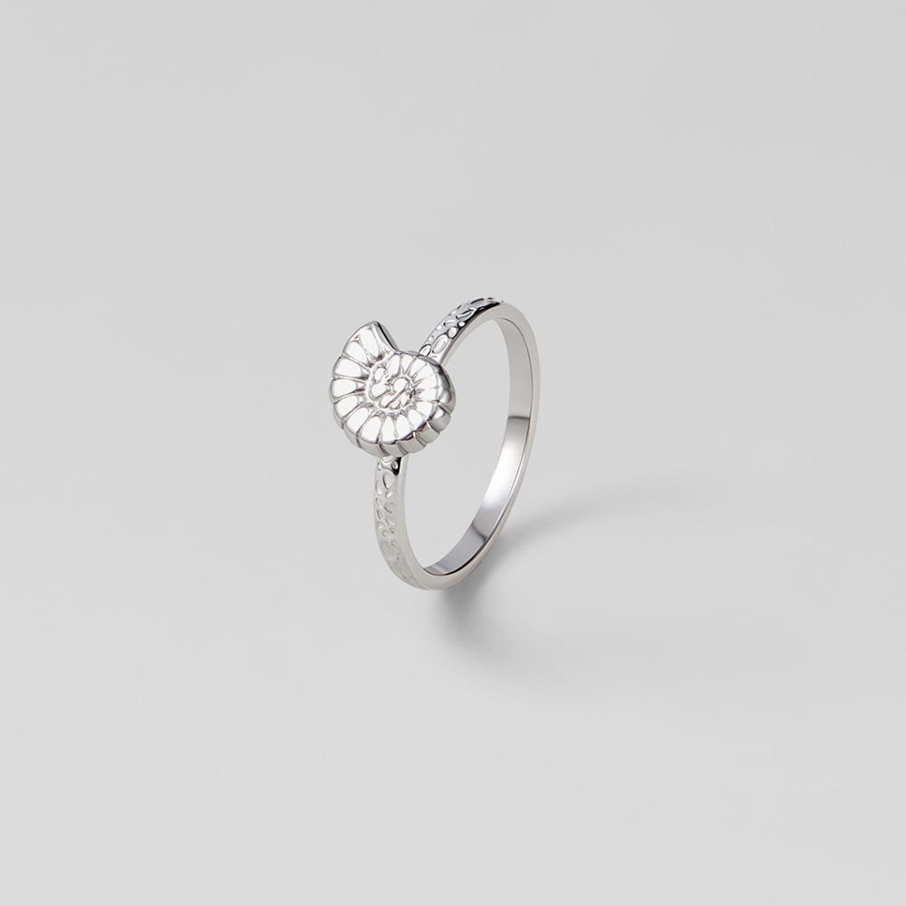 Silver Spiral Shell Ring